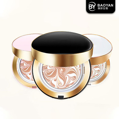Private Label Air Cushion Foundation Wet Powder Cosmetics Natural Skin Color